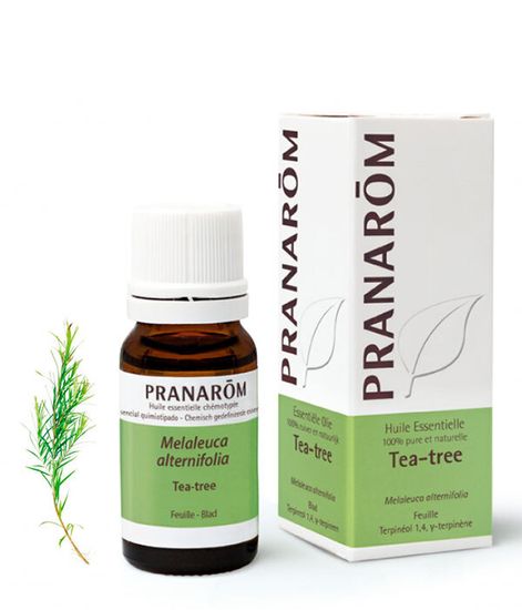 Натуральное эфирное масло Чайное дерево, Pranarom