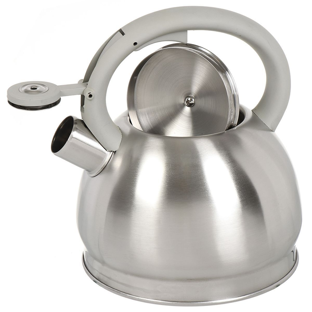 Чайник нерж, 2 л, свист, ручк бакелит, с силик покр, Daniks, Модерн, индукц, M-006
