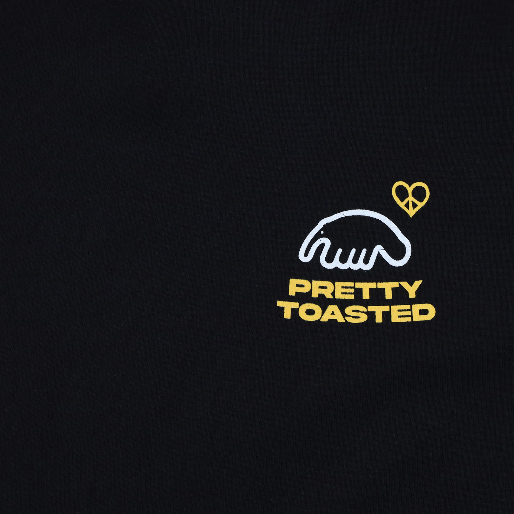 Футболка Anteater Tee 377 (black) артикул:pplq9kJ-gUWma52h65KVw2 - купить в магазине Дайс