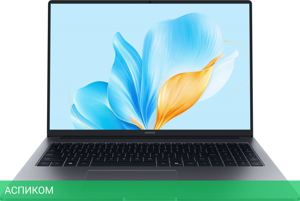 Ноутбук Honor MagicBook X16 2025 BRG-565 Space Gray (5301ALWS)