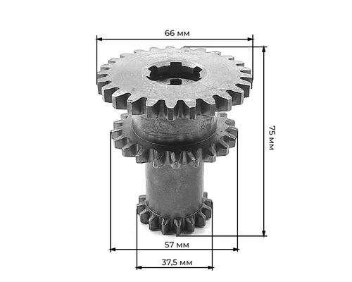 Шестерня главного (первичного) вала Z-16/Z-21/Z-25 178-186F