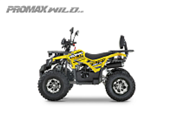 Квадроцикл PROMAX WILD 2.0 190 PRO (2025)