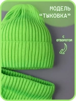 Шапка для мальчика со снудом осенняя