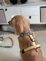 Шлейка для собак с ручкой перехват из биотана водонепроницаемая , 25 мм , М размер, золотой шимер , серый