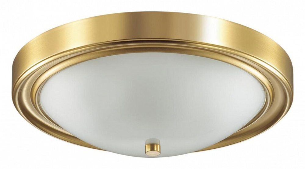 Накладной светильник Lumion 5259/3C