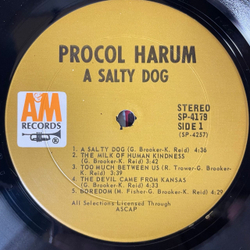 Винтажная виниловая пластинка LP Procol Harum A Salty Dog (США 1969)