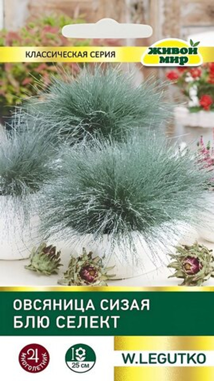 Oвcяницa cизaя "ЖМ. Блю ceлeкт" 0,2г., Польша.