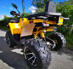 Квадроцикл MOTOLAND (МОТОЛЕНД) 200 WILD TRACK X PRO-SPORT (баланс.вал)