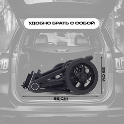 Детская коляска Rant Flex 2 в 1 RA076 Grey