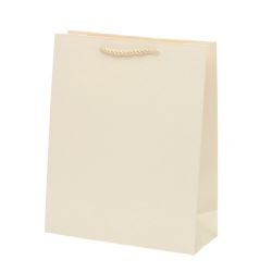 GAEM Пакет подарочный M (бумага 210г/м2, блок микс12шт), L26 W10 H32 см, 5в.