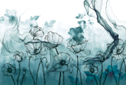 Коллекция Grafika Natura