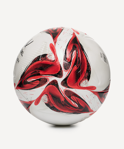 Мяч футбольный Triumph Pro №5