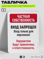 Табличка для частной территории "Частная собственность, только для персонала", на дом, для участка, организаций, предупреждающая, 40х30 см, Silver Plane x Айдентика Технолоджи