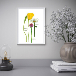IKEA BILD  (ИКЕА БИЛД)  -  Плакат, распускающиеся цветы II, 30x40 см