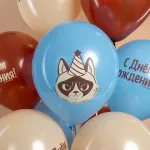 Шар (12''/30 см) С Днем Рождения! (сердитая кошка), Ассорти, пастель, 2 ст, 25 шт.