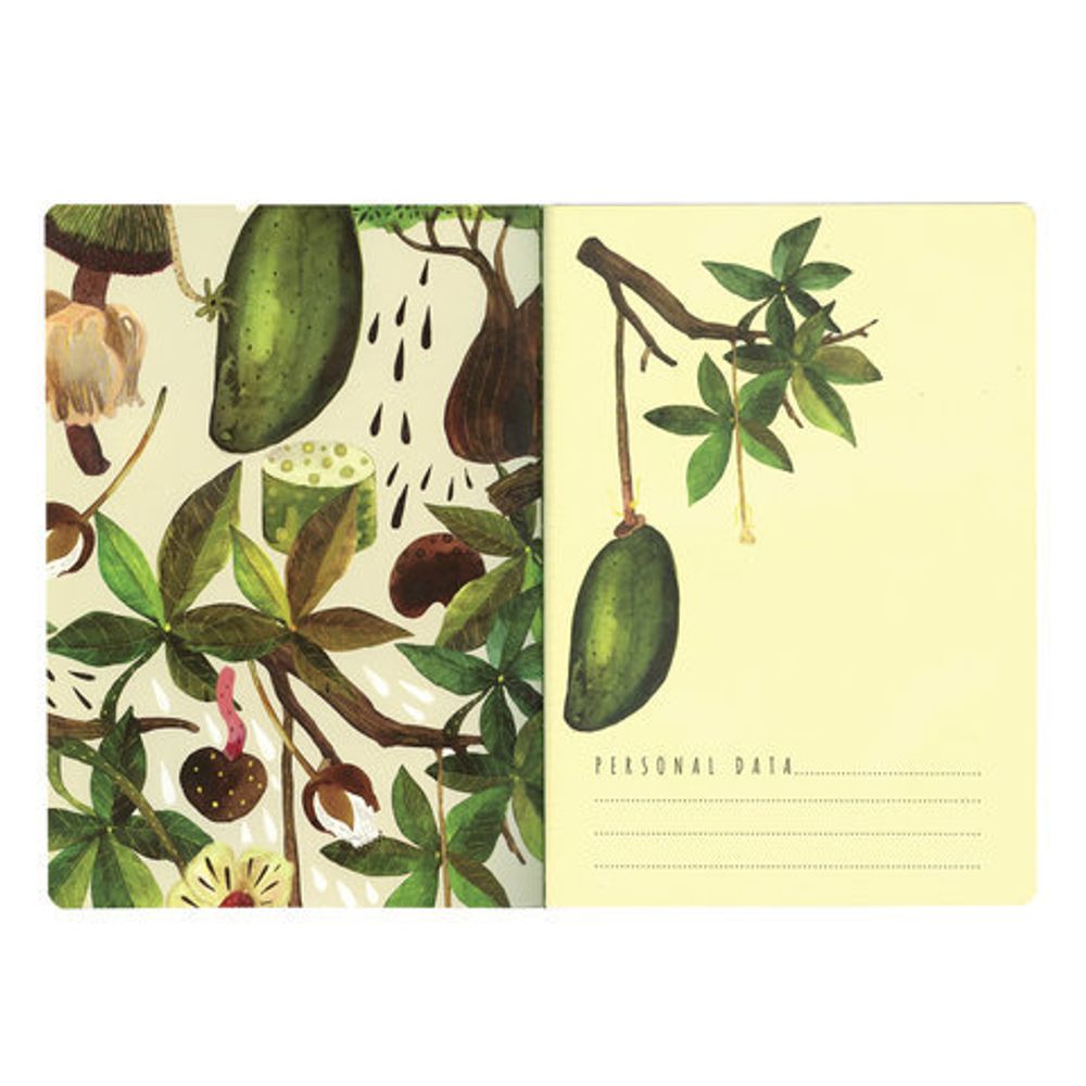 Тетрадь B5 (179x250 мм), 60 листов, BRUNO VISCONTI сшивка, клетка, Soft Touch, фольга, бежевая бумага 70 г/м, "БАОБАБ", 7-60-001/11