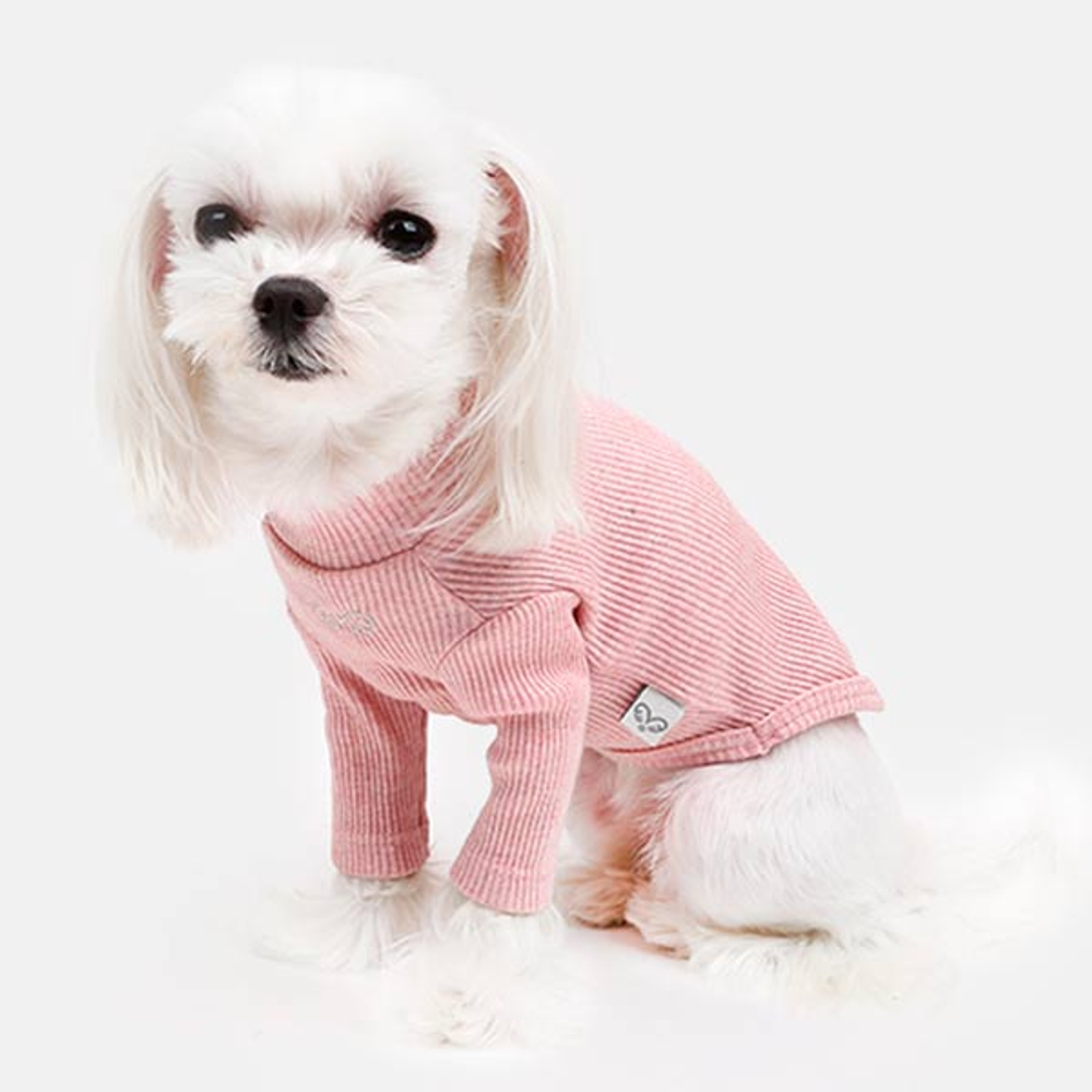 501 Водолазка "Лапша" / "Knitting Noodles Puppy Angel"