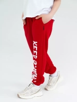 Штаны детские спортивные красные