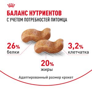Сухой корм Royal Canin Boxer Adult для взрослых и стареющих собак породы боксер от 15 месяцев