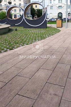 Сквер Крылья Сибири, г.Новосибирск