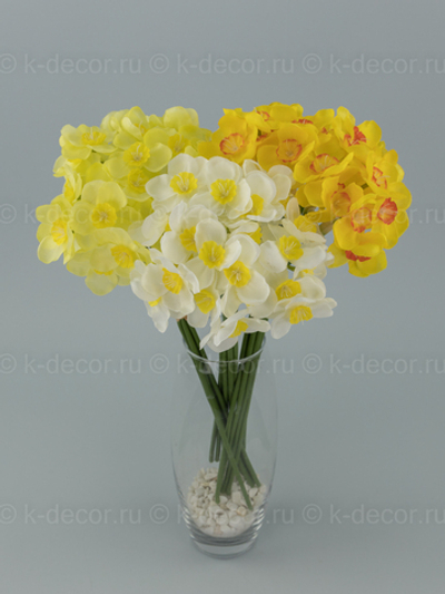 Срез Нарцисс