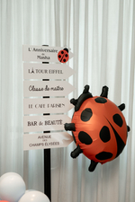 Lady Bug Party