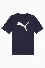 Футболка Puma teamRISE Logo