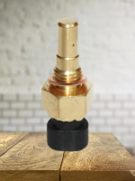 Датчик температуры охлаждающей жидкости 21120385101082