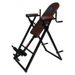 Инверсионный стол Scholle 12N