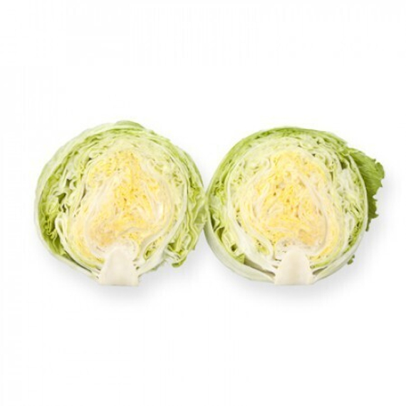 ПЛАТИНАС семена салата айсберг Rijk Zwaan цена – фото 3