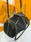 Сумка Louis Vuitton Express