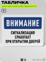 Табличка для частной территории "Внимание, сигнализация сработает при открытии дверей", на дом, для участка, организаций и частных территорий, 40х30 см, Silver Plane x Айдентика Технолоджи