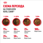 Royal Canin Maxi Joint Care Макси Джойнт кэа Корм сухой для взрослых собак крупных размеров с повышенной чувствительностью суставов 3кг