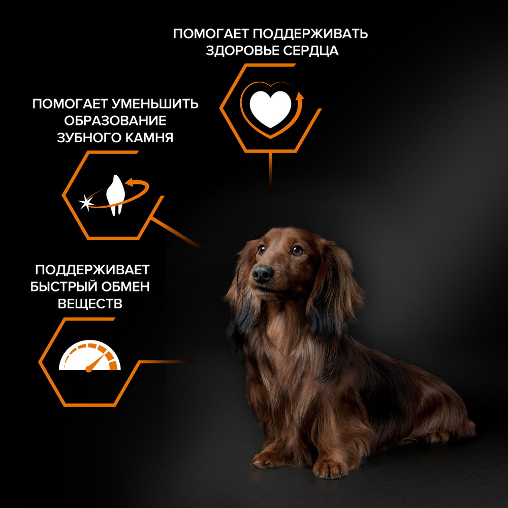 Сухой корм PRO PLAN EVERYDAY NUTRITION для взрослых собак мелких и карликовых пород курица 700 г