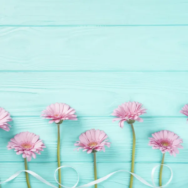 Пятая новость магазина