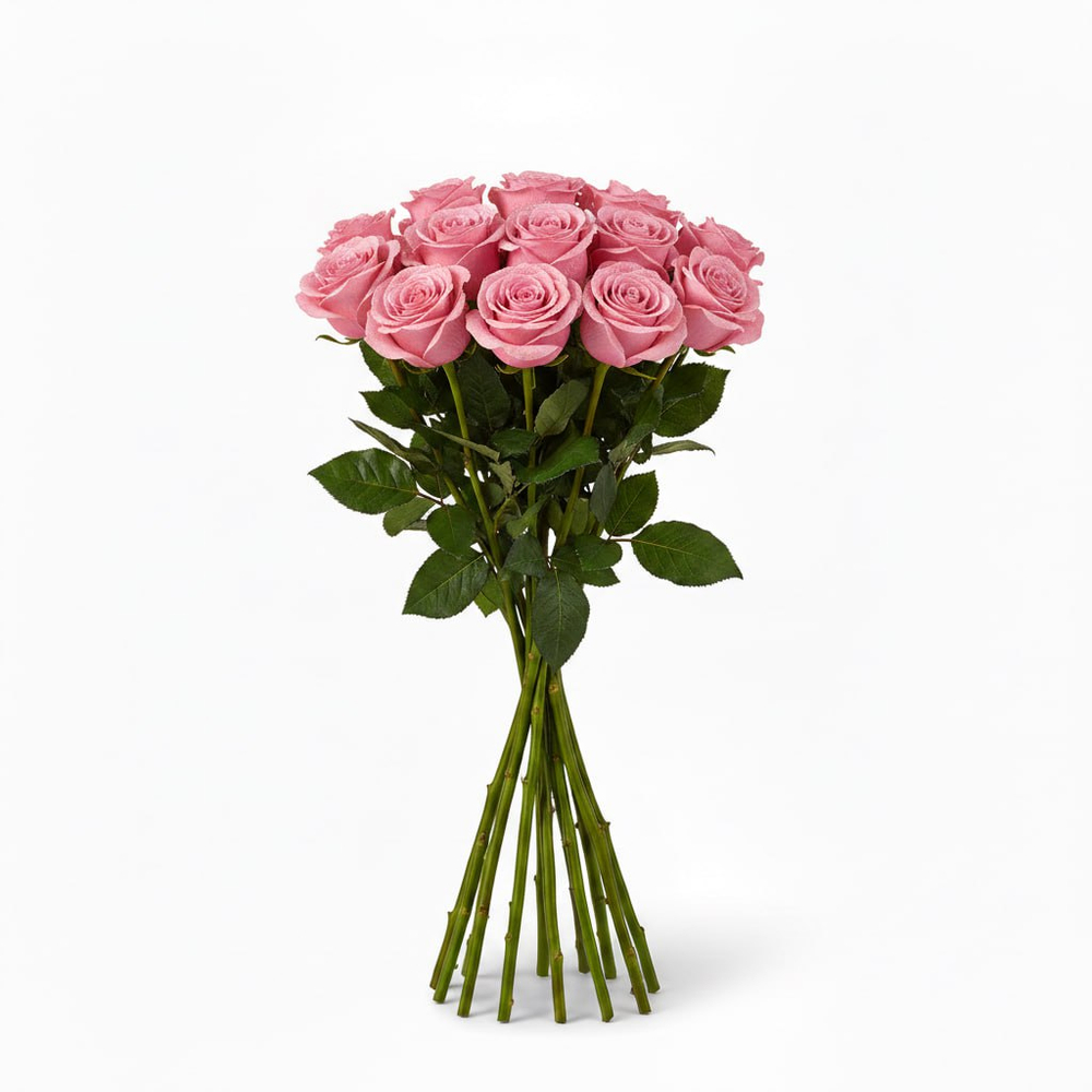 Розы "Эквадор" розовые