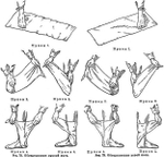 Портянки летние