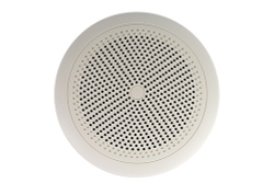 CVGAUDIO WT58W Встраиваемый двухполосный влагозащищенный громкоговоритель