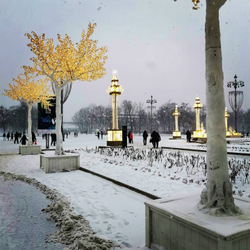 Грифон