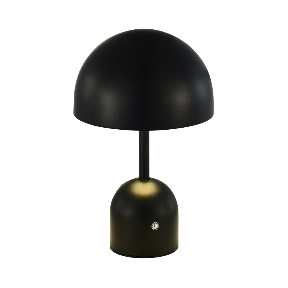 SLE1806-404-01 Прикроватная лампа Черный/Черный LED 1*3W 3000-6000K ECLAT