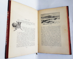 "По белу свету. Очерки и картины из путешествий по трем частям Старого света". А.В. Елисеев. 1904г. - редкая книга
