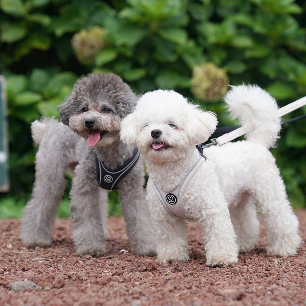 003 Шлейка (фиксатор-пряжка с защелкой, размер-в-размер) SSOOOK