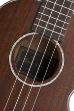 Укулеле BATON ROUGE UV11-T-SCR