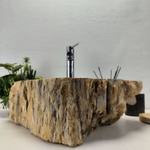 Раковина из окаменелого дерева FossilBasin OD-62137 52*42*16