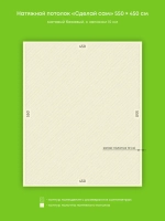 Матовый натяжной потолок 24.8 м2