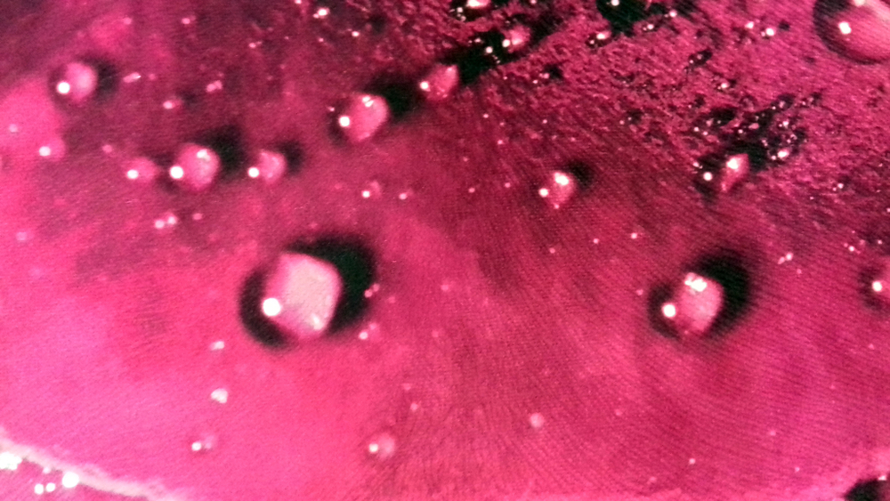 Микровелюр Xpoint (Икспоинт) 0043.02 Роза