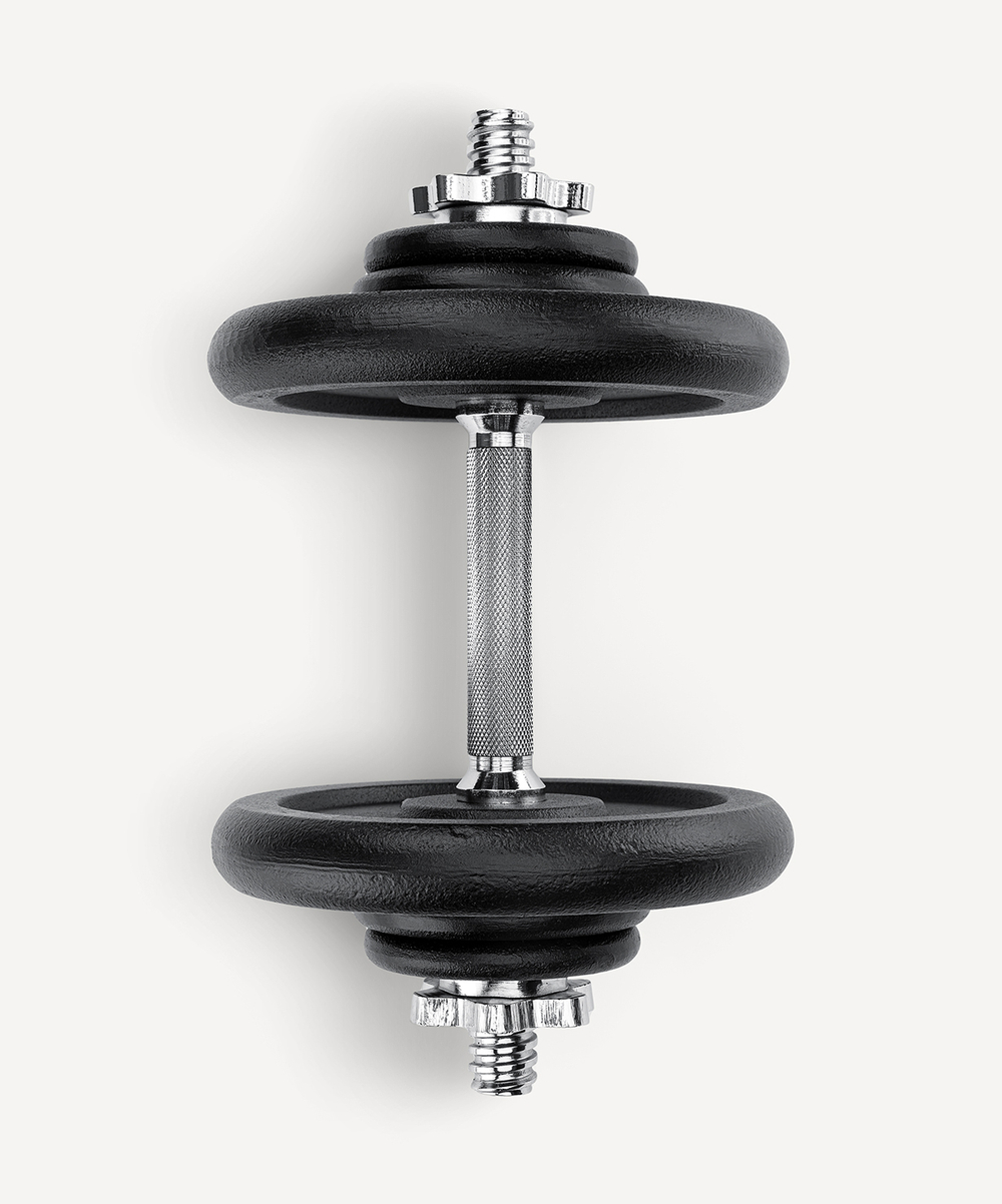 Гантель разборная чугунная в коробке DB-715, 14 кг