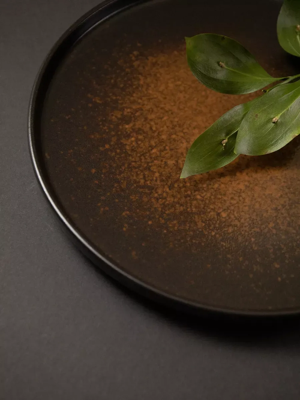 Набор 2 шт тарелок с бортиком, 26 см, Бронза