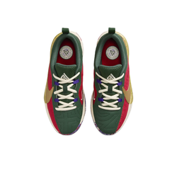 Кроссовки Nike Zoom Freak 5 EP 'Keep It A Buck' (GS) DZ4486-600