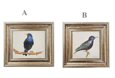 Картина авторская акварель "Скворец"